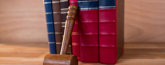 Must-Read Books on Social Justice