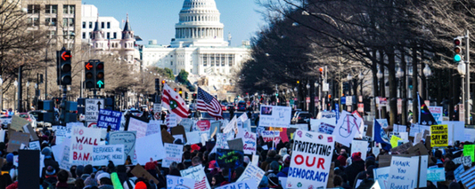 The role of books in social justice movements