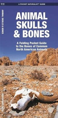 Animal Skulls & Bones by Kavanagh, James