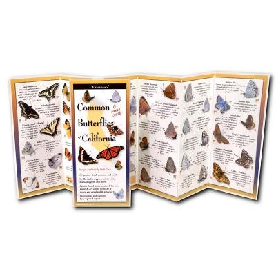 Common Butterflies of California by Cech, Rick