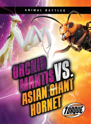 Orchid Mantis vs. Asian Giant Hornet by Sommer, Nathan
