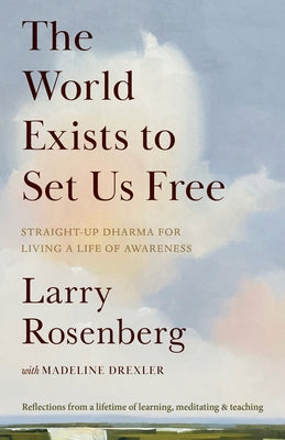 The World Exists to Set Us Free: Straight-Up Dharma for Living a Life of Awareness by Rosenberg, Larry