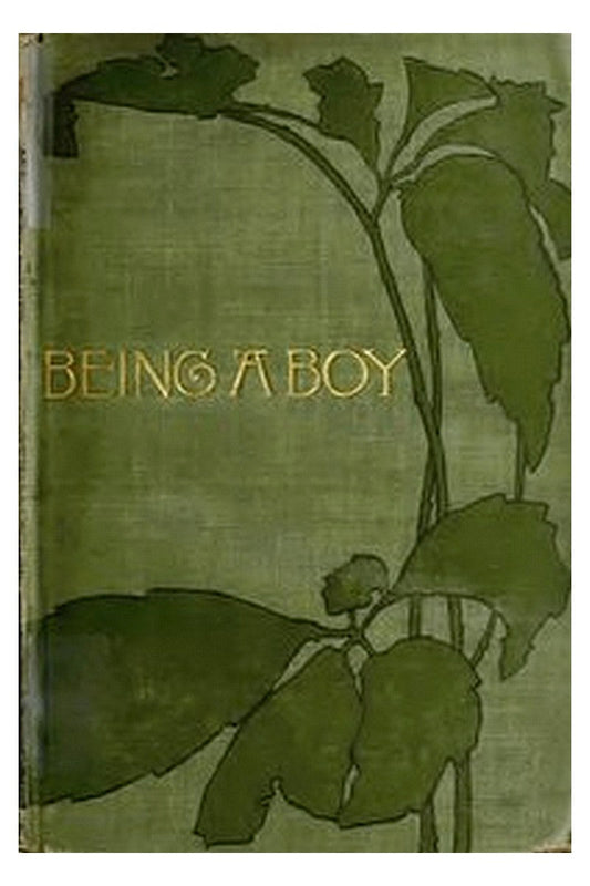 Being a Boy
