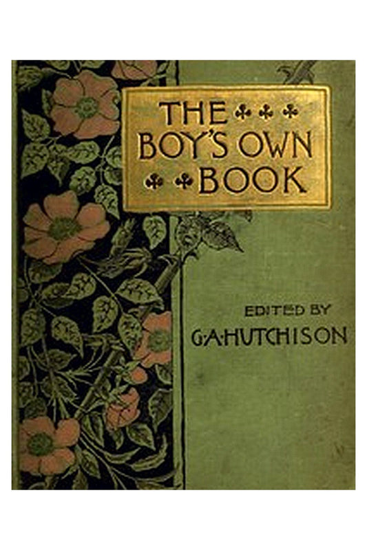 The Boy's Own Book of Indoor Games and Recreations