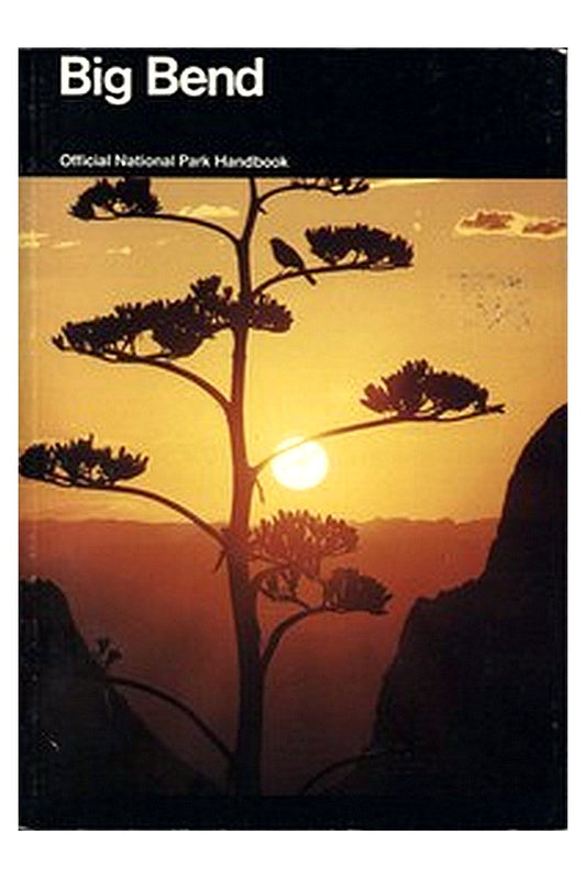 Big Bend National Park, Texas