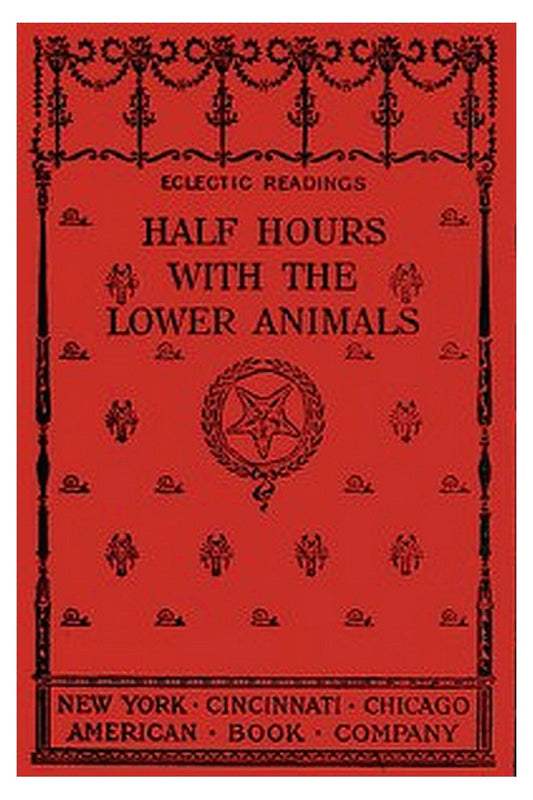 Half Hours with the Lower Animals