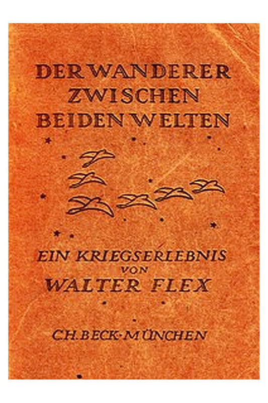 Der Wanderer zwischen den Welten: Ein Kriegserlebnis