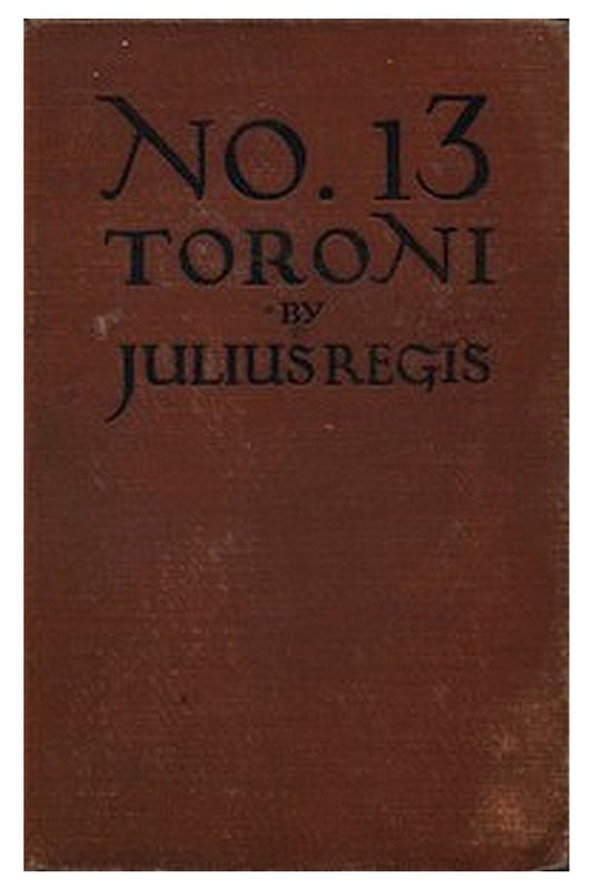 Number Thirteen Toroni: A Mystery