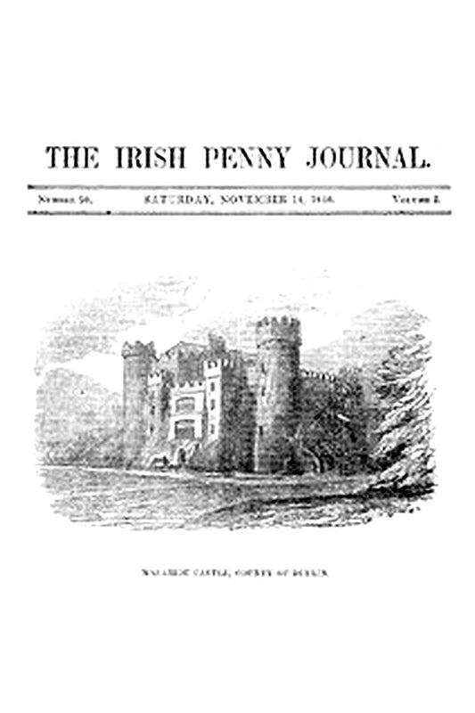 The Irish Penny Journal, Vol. 1 No. 20, November 14, 1840