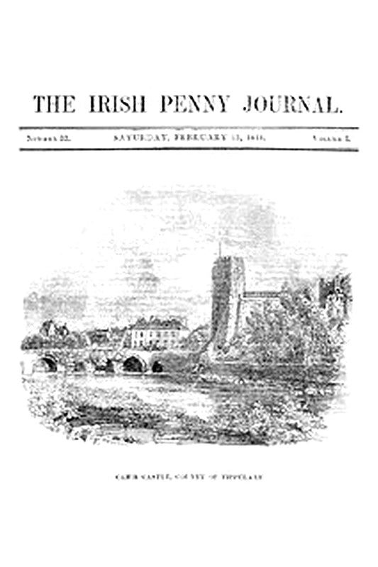 The Irish Penny Journal, Vol. 1 No. 33, February 13, 1841