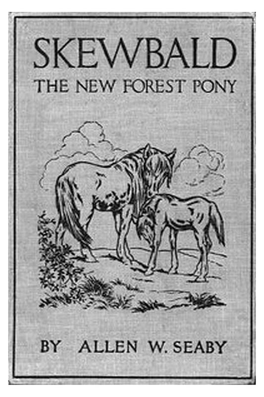 Skewbald, the New Forest Pony