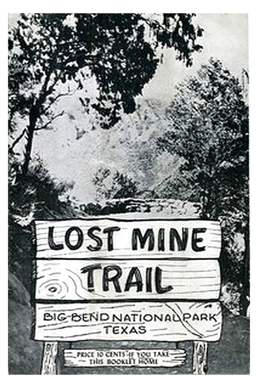 Lost Mine Trail, Big Bend National Park, Texas
