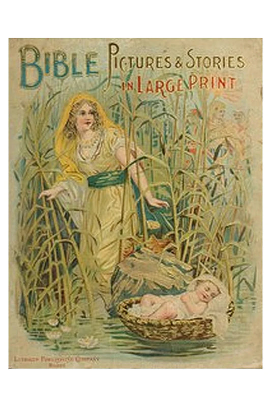 Bible Pictures and Stories in Large Print