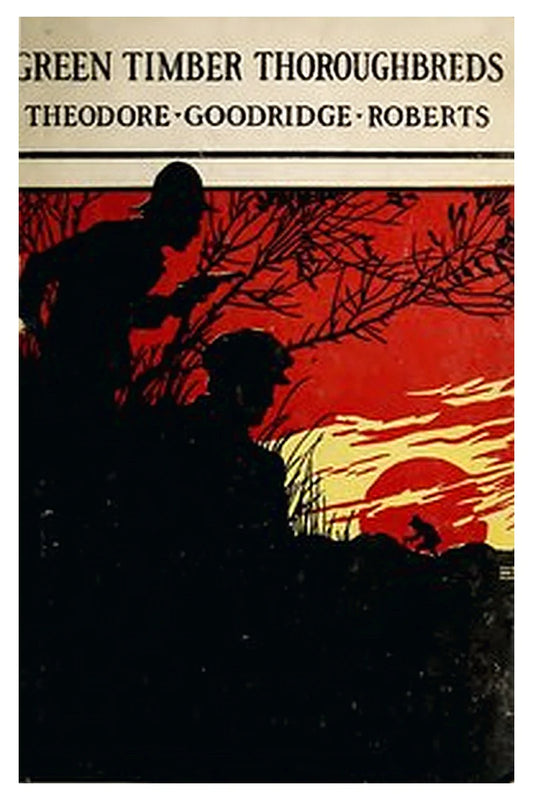 Green Timber Thoroughbreds