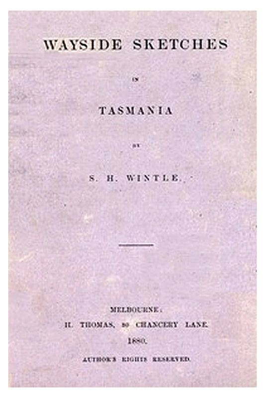 Wayside Sketches in Tasmania