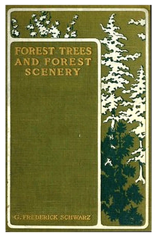 Forest Trees and Forest Scenery