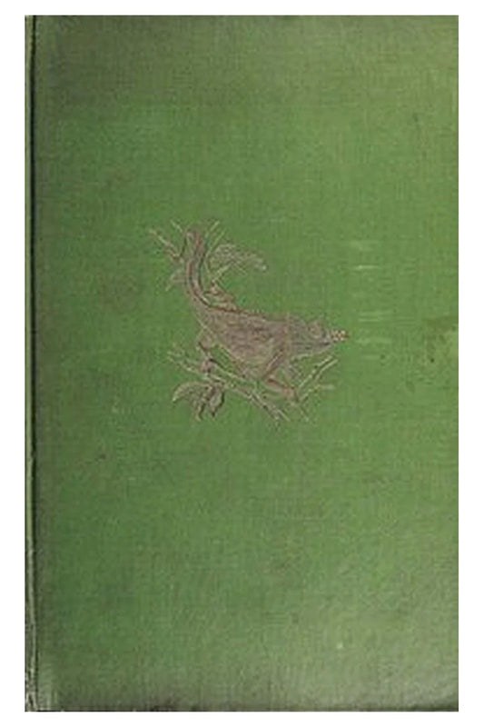 A naturalist in Madagascar