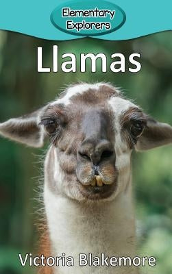 Llamas by Blakemore, Victoria