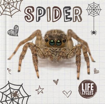 Spider by Duhig, Holly
