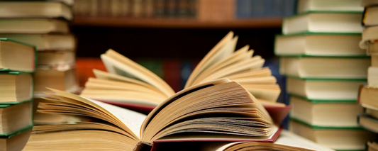 Best Books on Learning Public Policy