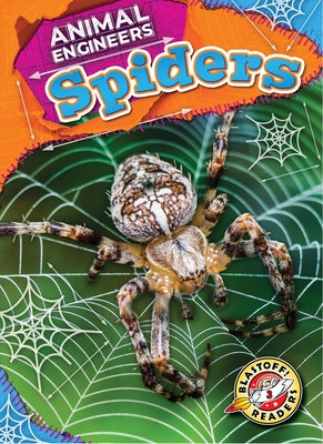 Spiders by Pettiford, Rebecca