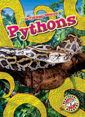Pythons by Mattern, Joanne