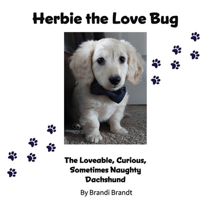 Herbie the Love Bug by Brandt, Brandi