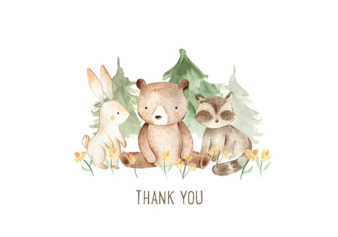 Baby Thank You Note Cards by Peter Pauper Press