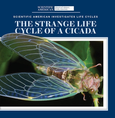 The Strange Life Cycle of a Cicada by McDougal, Anna