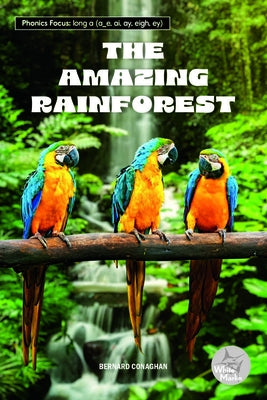 The Amazing Rainforest by Conaghan, Bernard