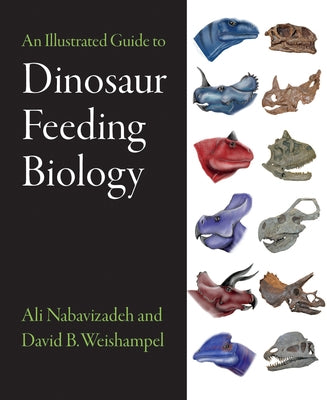 An Illustrated Guide to Dinosaur Feeding Biology by Nabavizadeh, Ali