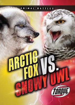 Arctic Fox vs. Snowy Owl by Sommer, Nathan