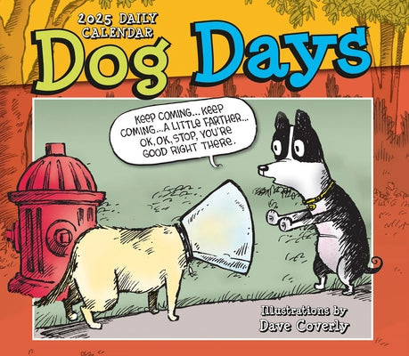 2025 Dog Days Dave Coverly Boxed Daily Calendar by Dave Coverly