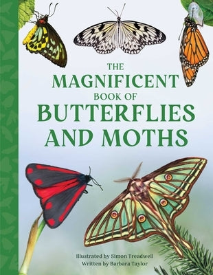 The Magnificent Book of Butterflies and Moths by Taylor, Barbara