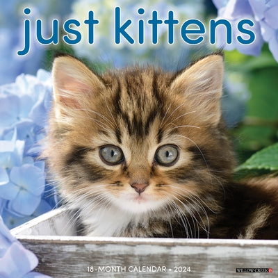 Just Kittens 2024 12 X 12 Wall Calendar by Willow Creek Press