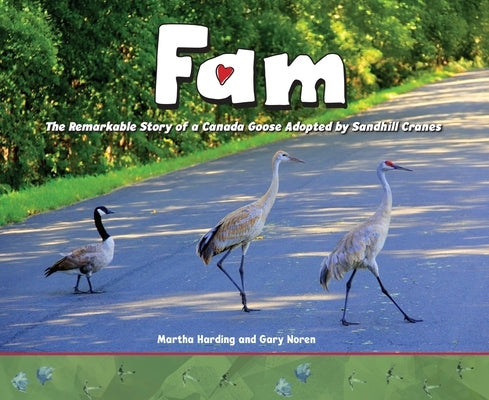 Fam: The Remarkable Story of a Canada Goose Adopted by Sandhill Cranes by Harding, Martha