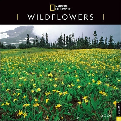 National Geographic: Wildflowers 2024 Wall Calendar by National Geographic