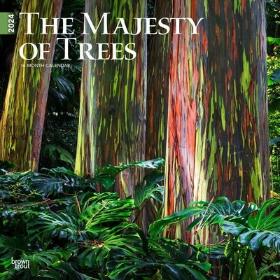 Majesty of Trees, the 2024 Square by Browntrout