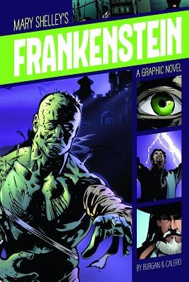 Frankenstein: A Graphic Novel by Shelley, Mary