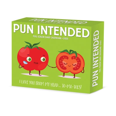 Pun Intended 2025 6.2 X 5.4 Box Calendar by Willow Creek Press