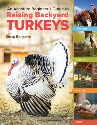 An Absolute Beginner's Guide to Raising Backyard Turkeys: Varieties, Feeding, Shelter, Care by Benjamin, Stacy