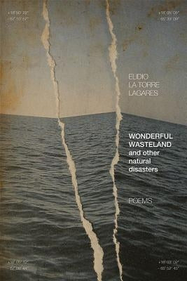 Wonderful Wasteland and Other Natural Disasters: Poems by La Torre Lagares, Elidio