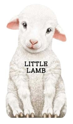 Little Lamb by Rigo, Laura