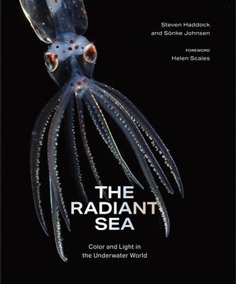 The Radiant Sea: Color and Light in the Underwater World by Haddock, Steven