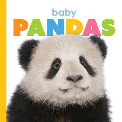 Baby Pandas by Riggs, Kate