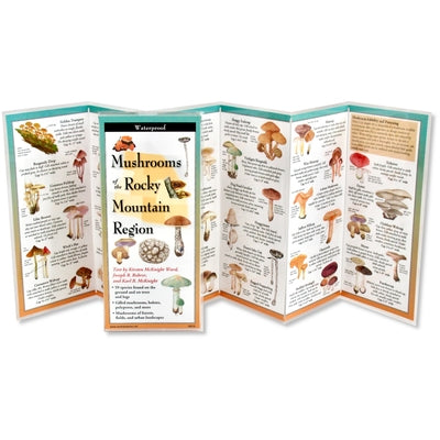 Mushrooms of the Rocky Mountain Region by McKnight Ward, Kirsten