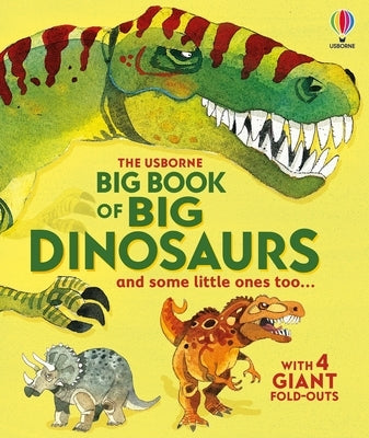 Big Book of Big Dinosaurs by Frith, Alex