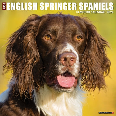 Just English Springer Spaniels 2024 12 X 12 Wall Calendar by Willow Creek Press