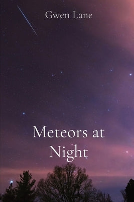 Meteors at Night by Lane, Gwen