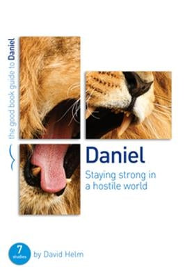 Daniel: Staying Strong in a Hostile World: 7 Studies for Individuals or Groups by Helm, David